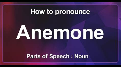 anemone pronunciation